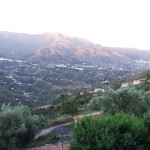 DSCF3901